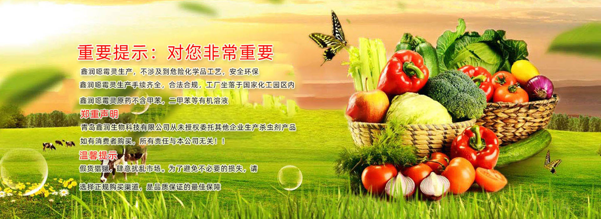 电脑幻灯片1